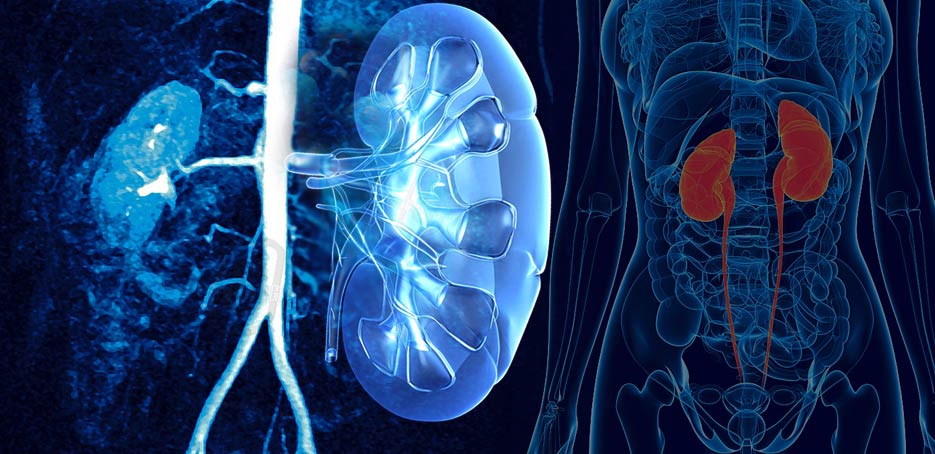  Best Hospital Urology In Tanda 