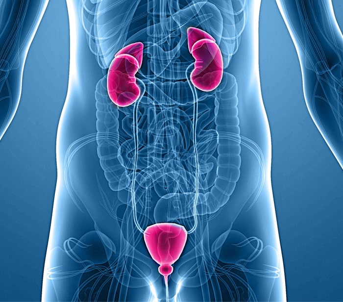 Best Urologist In Nakodar