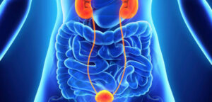 Best Urologist in Ludhiana