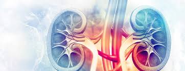 Best Urologist In Beas