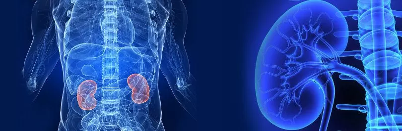 Best Urologist In Sultanpur lodhi 